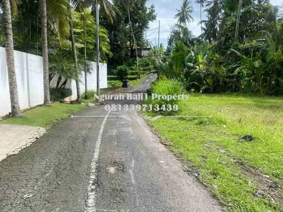 Dijual Tanah Murah Luas 10 Are di Br Tunon Ubud - Image 1 of 4