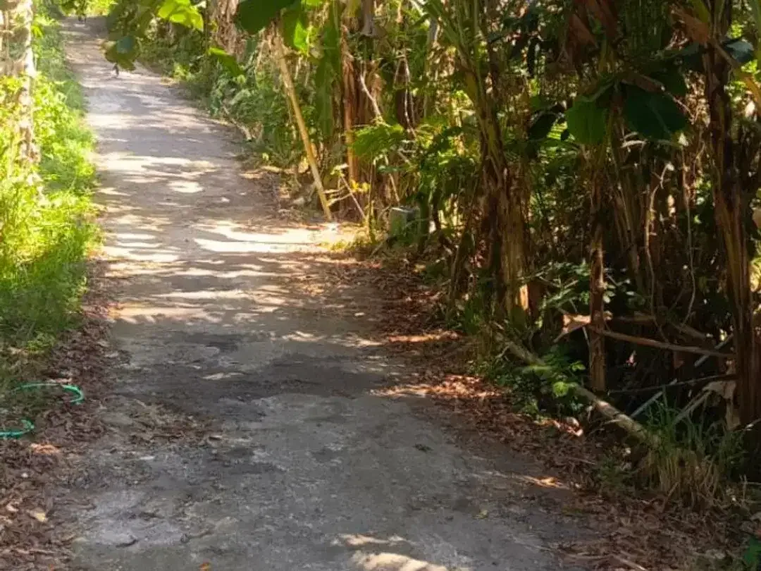 DIJUAL TANAH STRATEGIS – BELIMBING SARI PECATU miliki tanah di kawasan yang berkembang pesat dengan lingkungan villa yang asri, tenang, dan nyaman. - Image 3 of 8