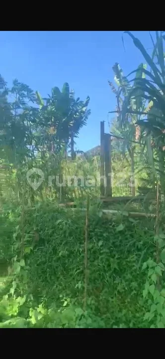 Tanah View Lembah Hutan Siap Bangun Harga Murah - Image 4 of 4