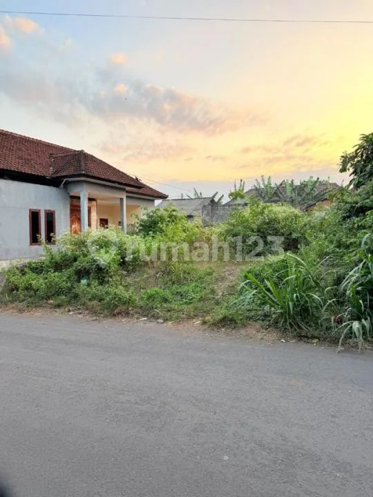 Dijual Tanah Murah Belakang Kampus Tehknik Udayana, Jimbaran Jln. Lingkar Timur Udayana - Image 4 of 4