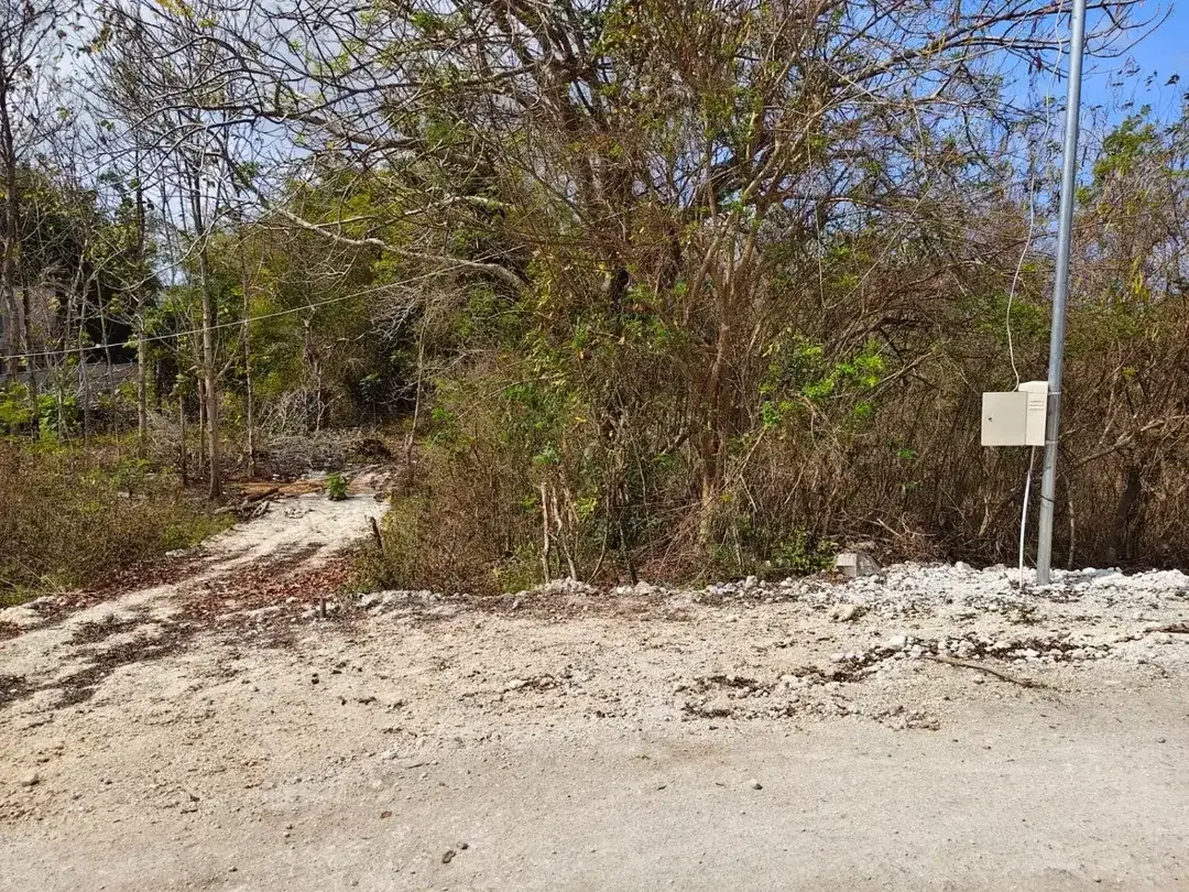 Dijual murah tanah di Jl Mundeh, Kutuh, Kuta selatan, Badung, Bali - Image 7 of 7