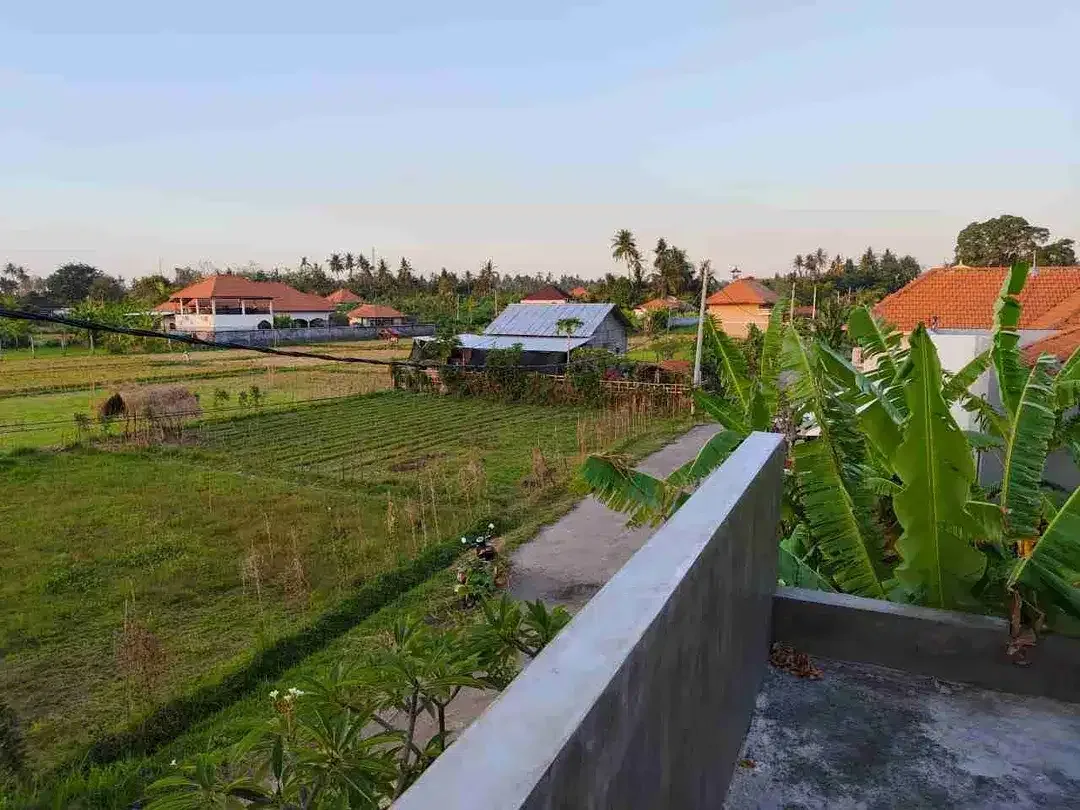 VILLA FULL FURNISH VIEW SAWAH DEKAT PANTAI LOVINA - Image 8 of 10