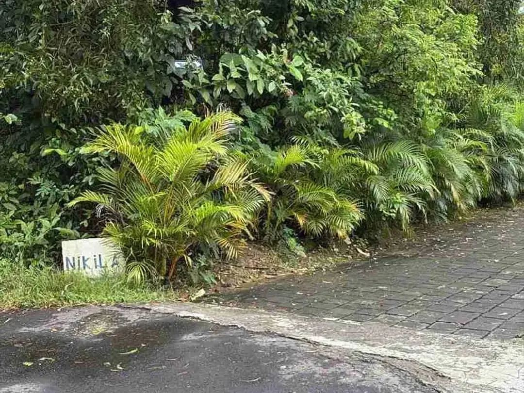 Tanah murah 600 m2 labuan sait Pecatu idr 8 jt/m2 - Image 7 of 7