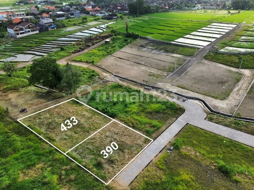 Tanah Kedungu Nyanyi Cemagi Seseh Siap Bangun - Image 3 of 4