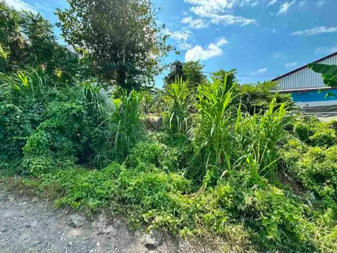 Di jual tanah luas 495 M2 di jalan cargo indah selatan Citraland Denpasar - Image 3 of 10