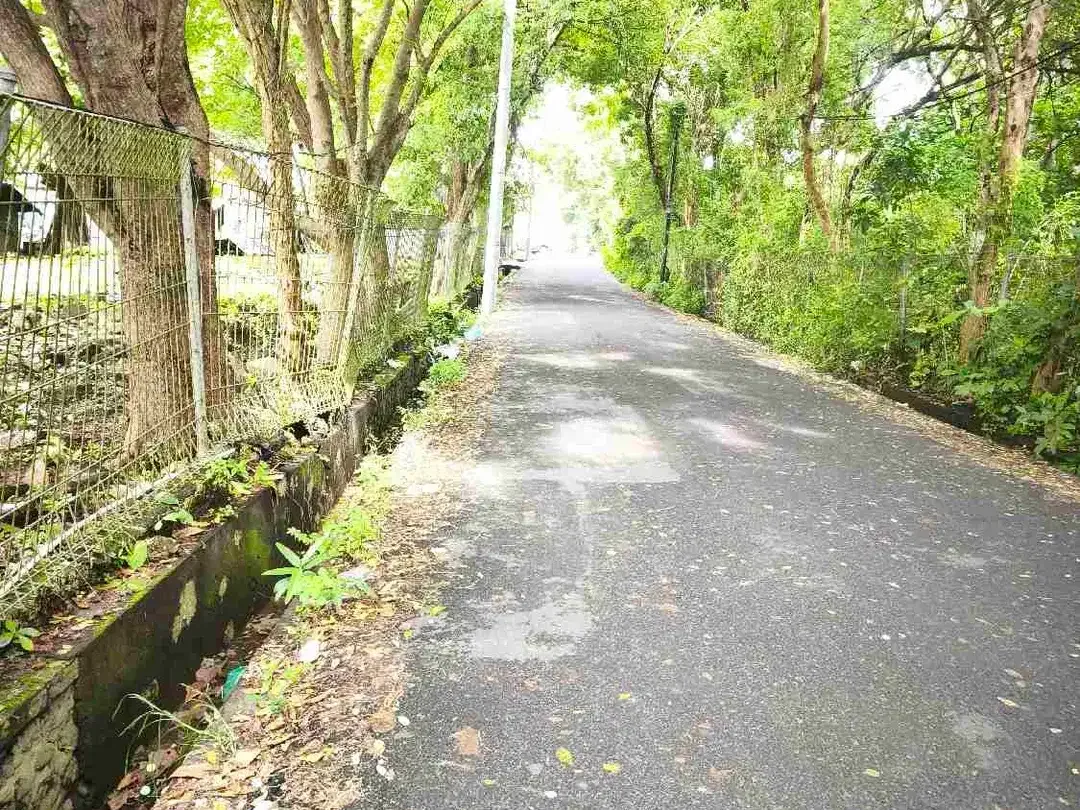 dijual tanah 1,7 M /ARE DEPAN PANTAI KEDONGANAN BADUNG BALI - Image 1 of 10