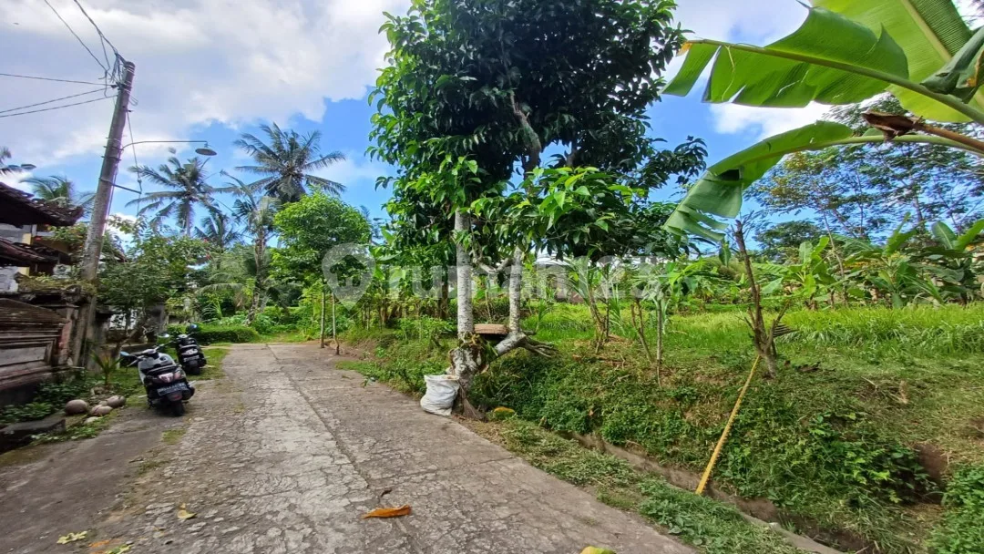 Dijual Tanah Kawasan Villa Di Ubud Central view pedesaan - Image 2 of 4