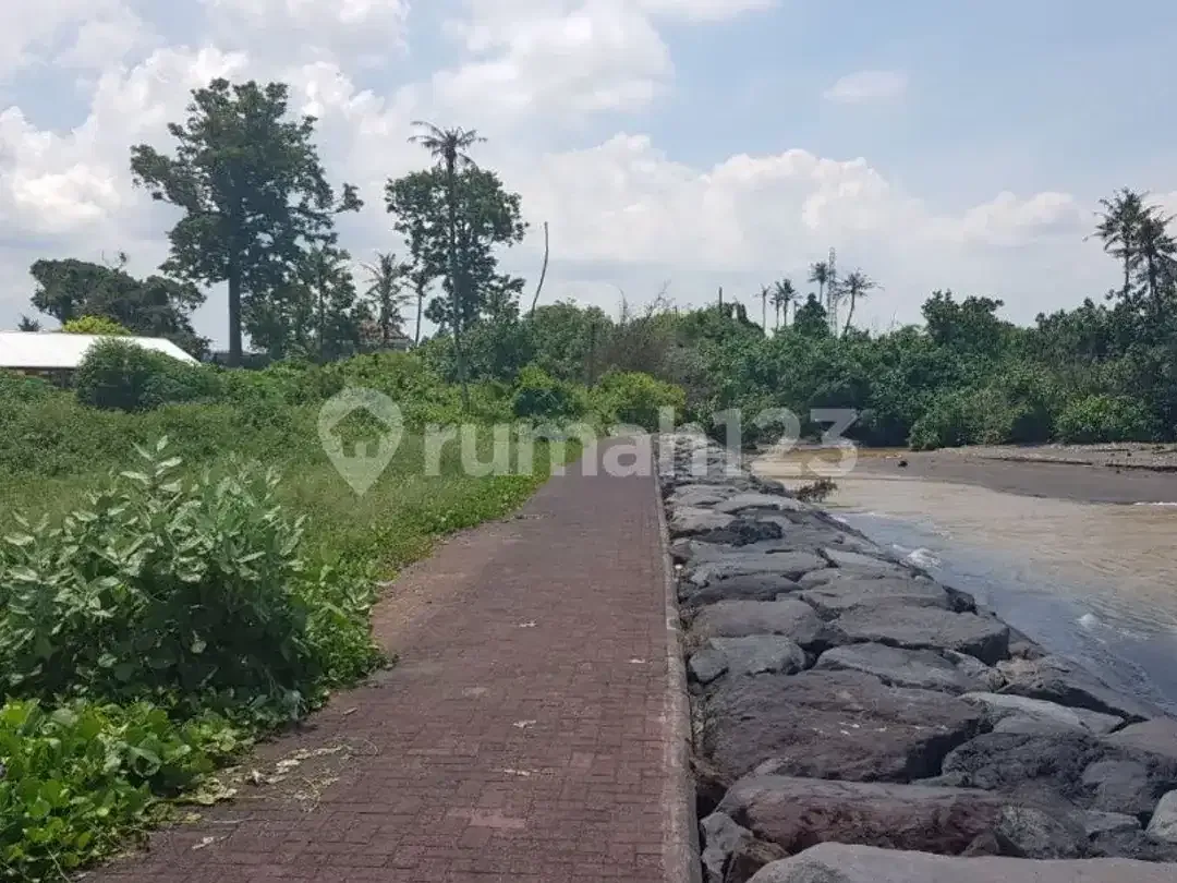 Dijual Tanah Beachfront 19 Are, Dipantai Pabean, Ketewel - Image 5 of 7