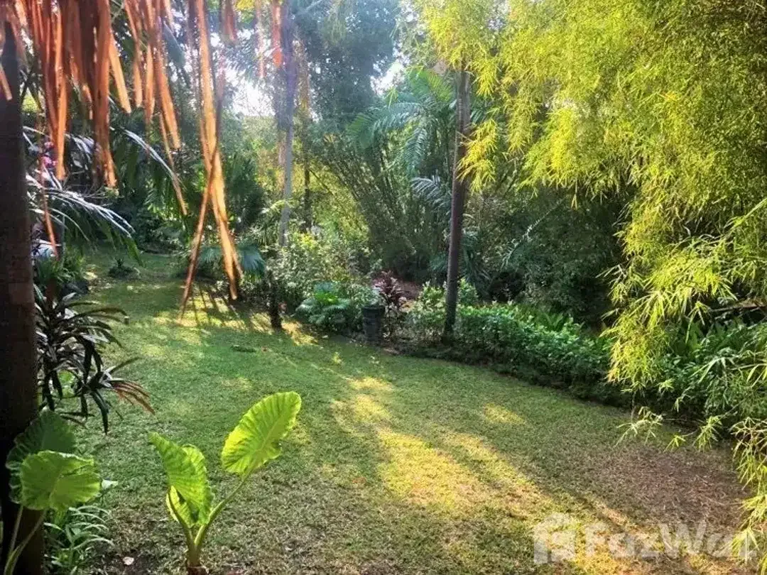 Land for sale in Pererenan, Bali - Image 5 of 10