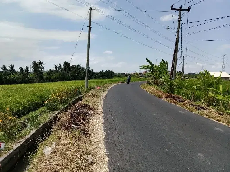 Tanah Lokasi Kaba-Kabar View Sawah Lingkungan Nyaman - Image 5 of 10