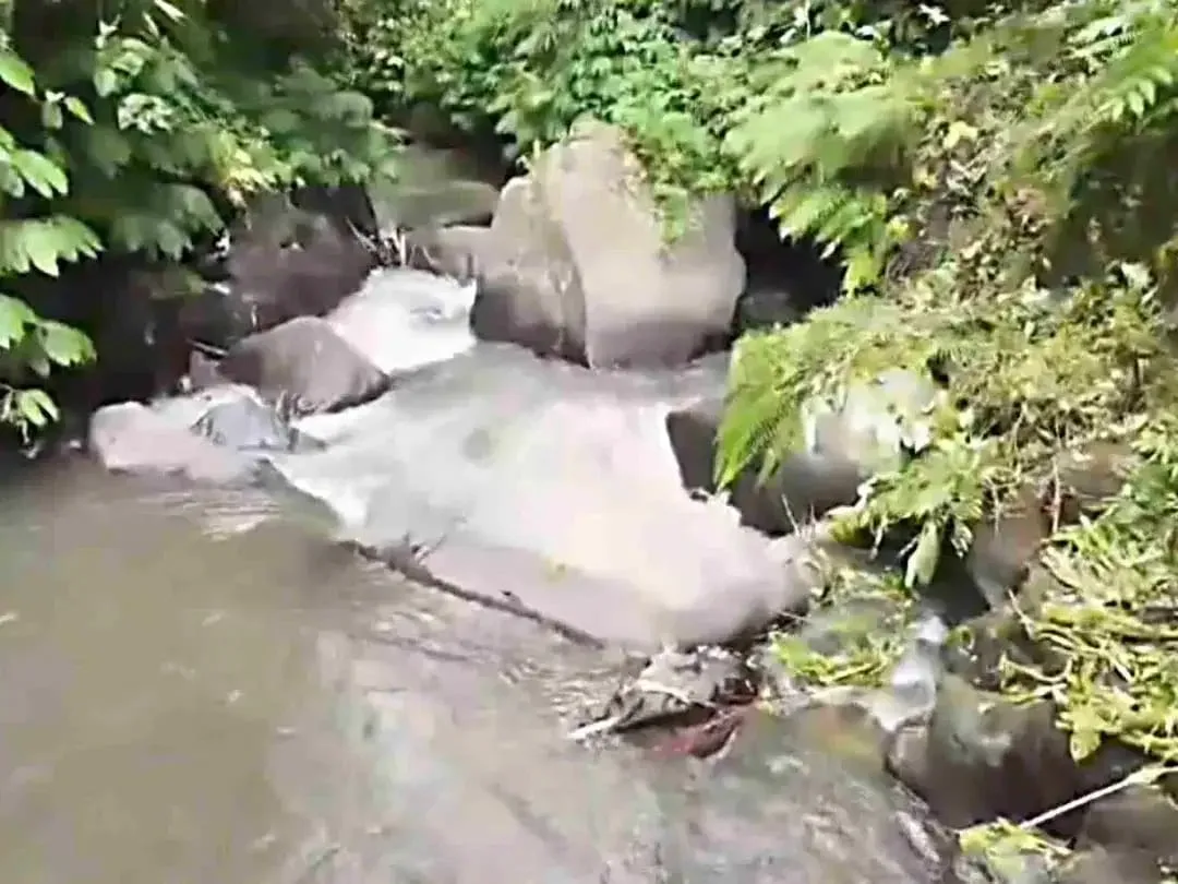 Tanah Riverside Buahan Ubud 500 mtr Hanging Garden hotel - Image 4 of 10