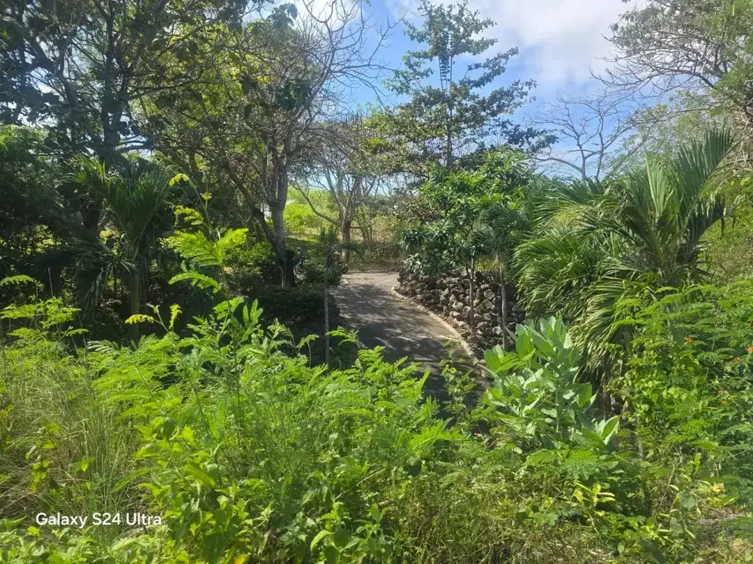 Dijual Tanah Strategis 6,06 Hektar Dekat Pantai Gunung Payung Ungasan – Cocok untuk Resort, Villa, Hotel, dan Investasi Pariwisata - Image 7 of 7