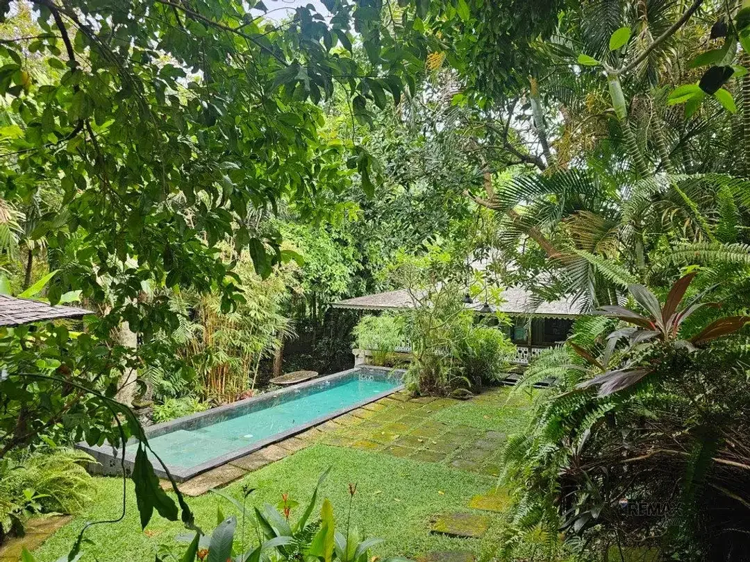 Tanah Premium 6,58 Are dengan Bonus Villa Dijual di Pererenan, Canggu - Image 4 of 8