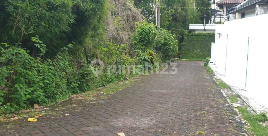 Tanah Jual Lokasi Canggu - Image 3 of 4