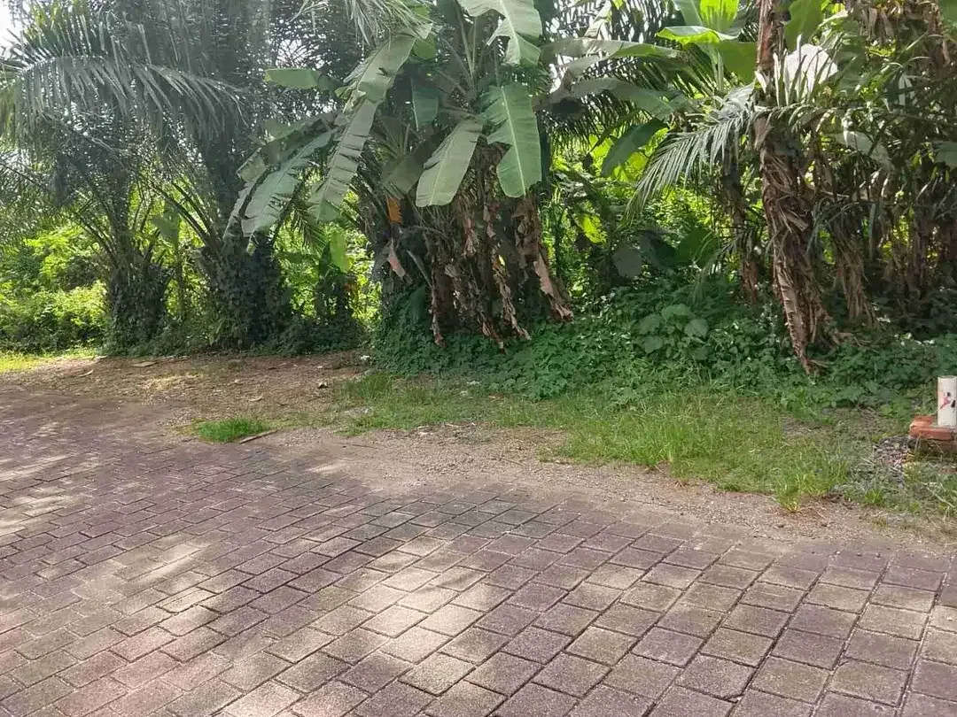 DIJUAL TANAH MUNGGU GREENLOT - Image 2 of 4