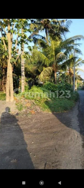 Tanah Murah Lodtunduh Pinggir Jl Besar Siap Bangun - Image 4 of 4