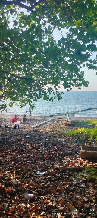 36,9 are Pinggir Pantai Di Kerobokan Singaraja Bali - Image 4 of 4