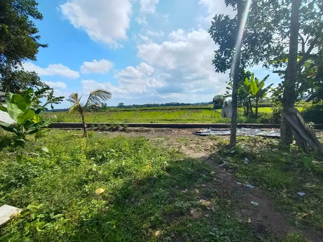 Tanah View Sawah 1000m2 Dekat Ubud Sentral - Image 3 of 9