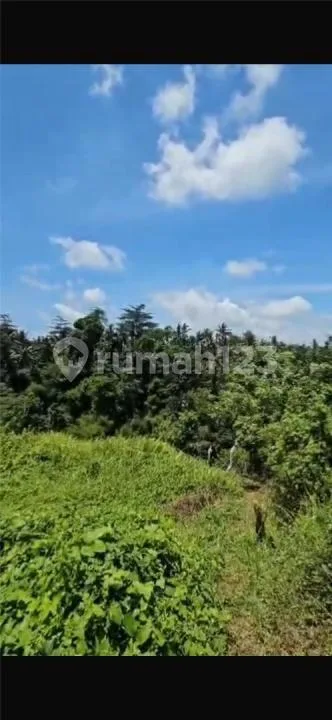 Tanah Besar Zona Kuning Harga Murah Los Sungai Wos - Image 2 of 4