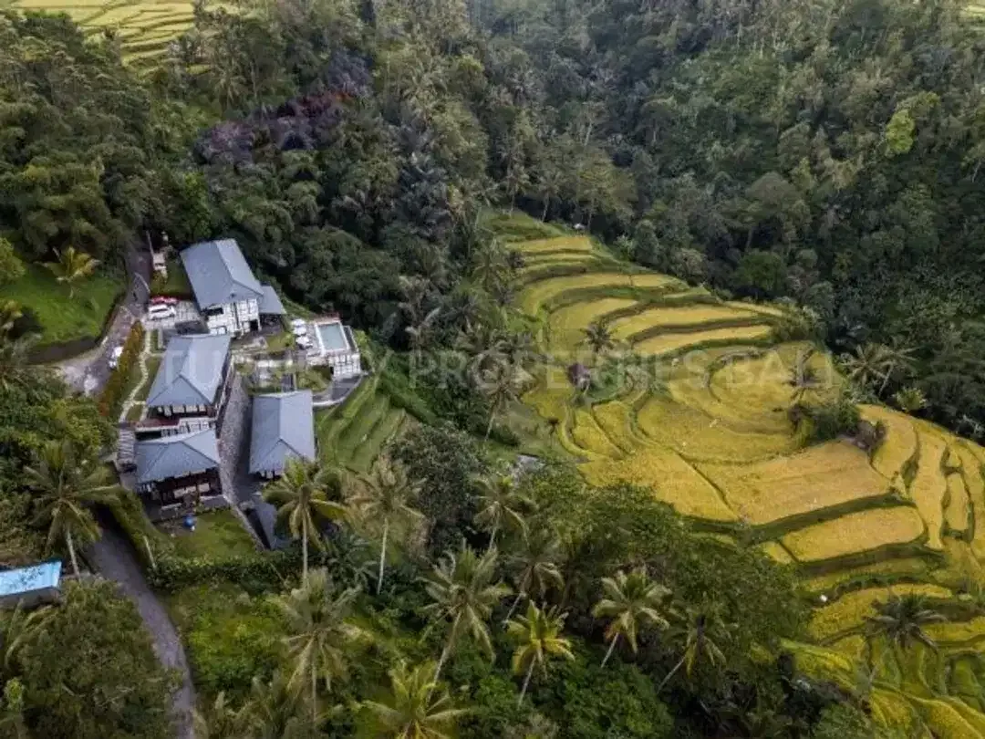Luxury Boutique Resort & Spa in Ubud - Image 2 of 10