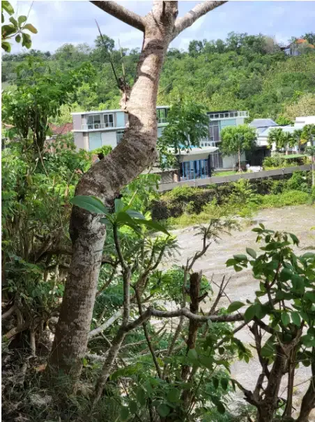 Tanah Murah 1 Hektar Dekat Pantai Ungasan - Image 7 of 10