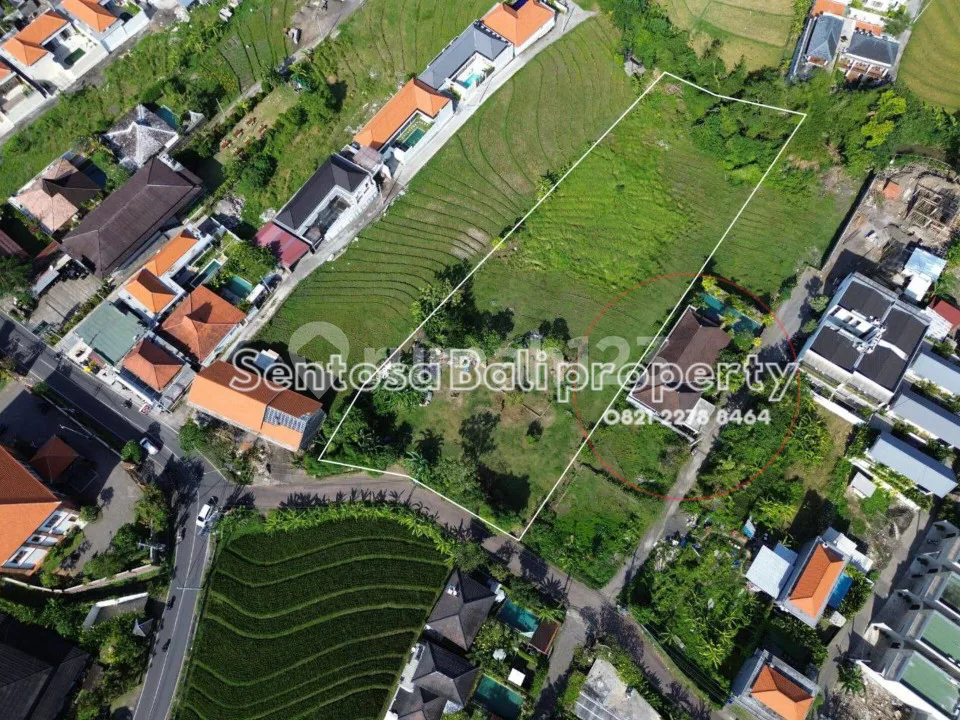 Prime land sale 50are - Munduk belah Pererenan Canggu - Image 2 of 4