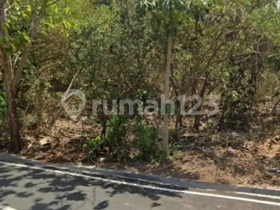 8 Juta Per Are Cocok untuk Usaha Kos Kosan Disewakan Cepat - Image 4 of 5