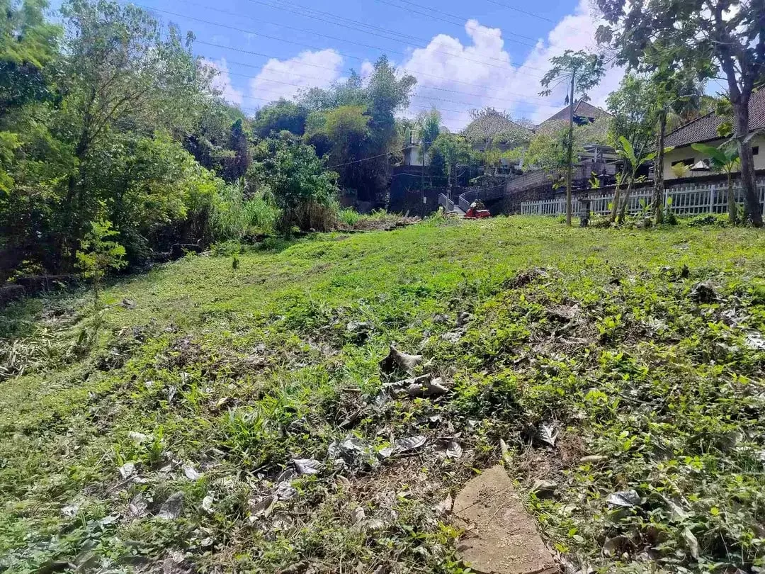 jual tanah premium.lok cepaka kaba kaba tabanan luas 3050m2 hrga 550jt/ are/100m2 - Image 9 of 10