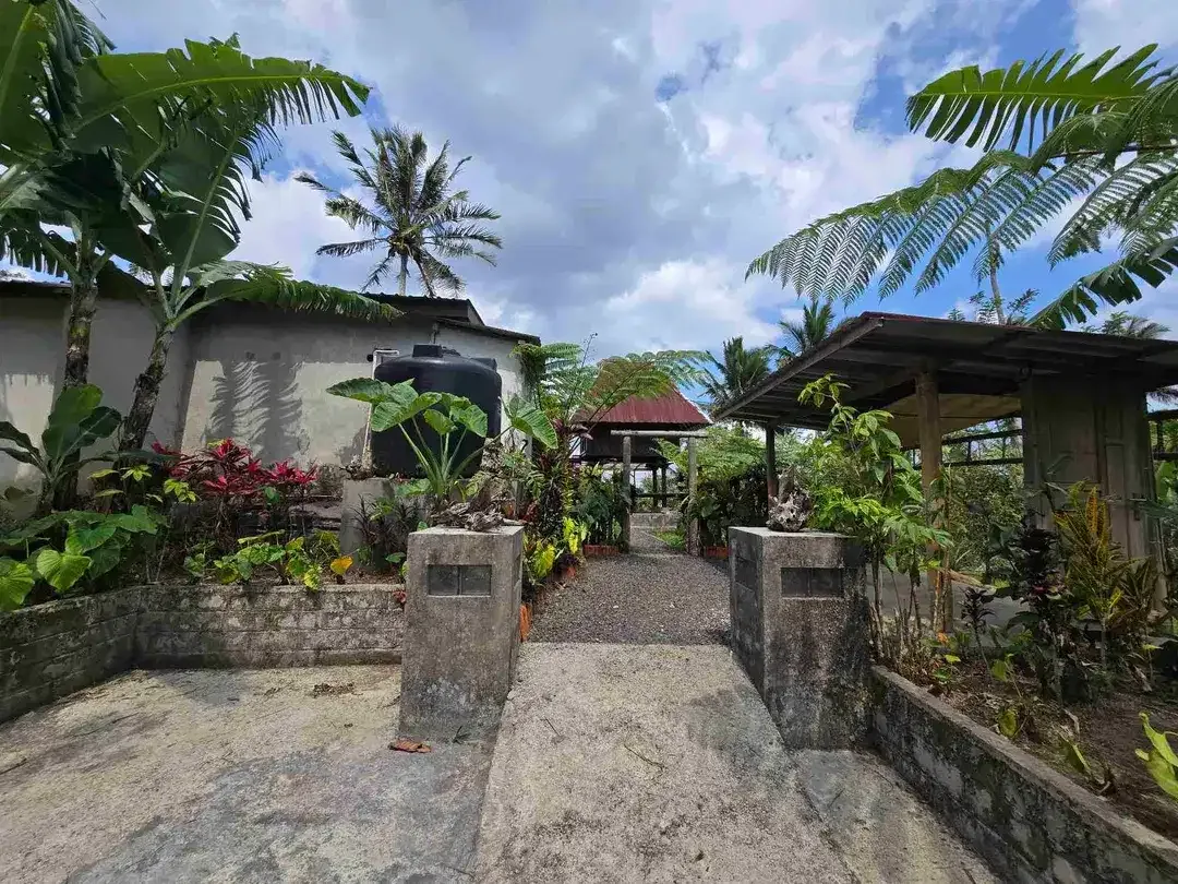 Dijual tanah bonus villa dengan view gunung sawah dan lembah di bali - Image 9 of 10