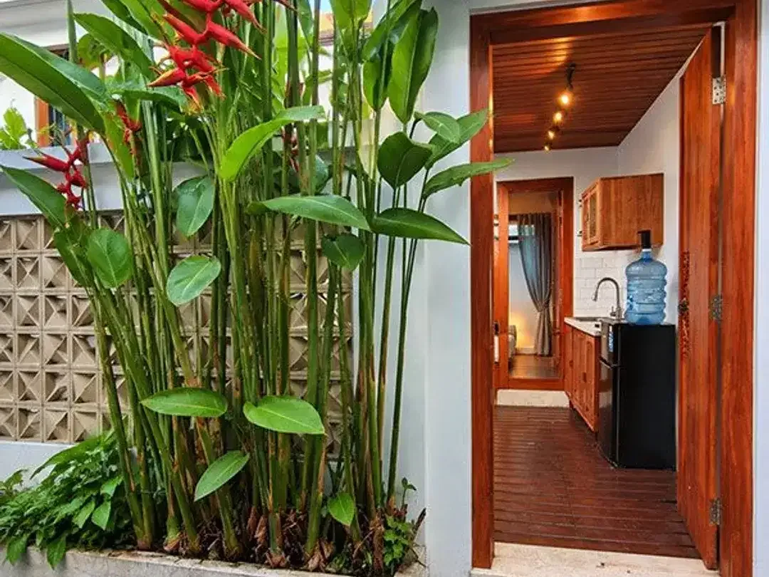 [AMS-106.RSA.V]  Cozy Private Villa with Plunge Pool – Your Affordable Living & Private Tropical Nest in East Denpasar! - Image 10 of 10
