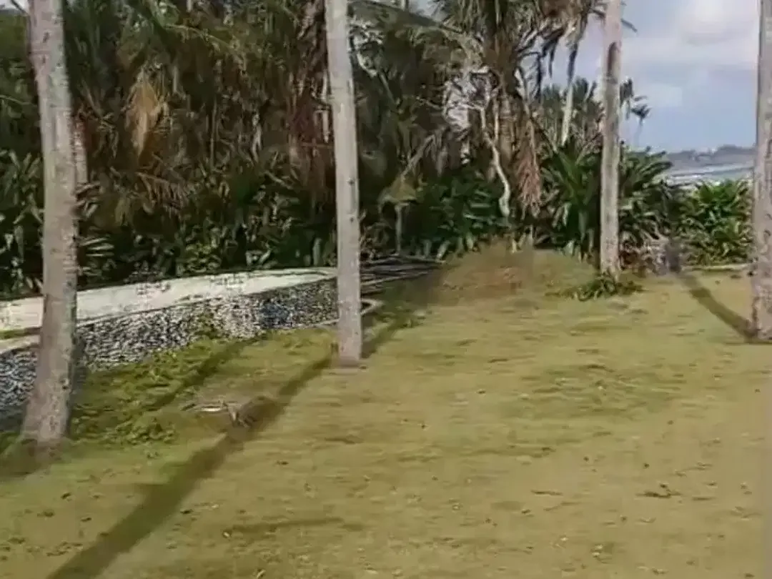 Dijual Tanah Los Pantai 45are Pantai Mengening Cemagi Bali - Image 4 of 7