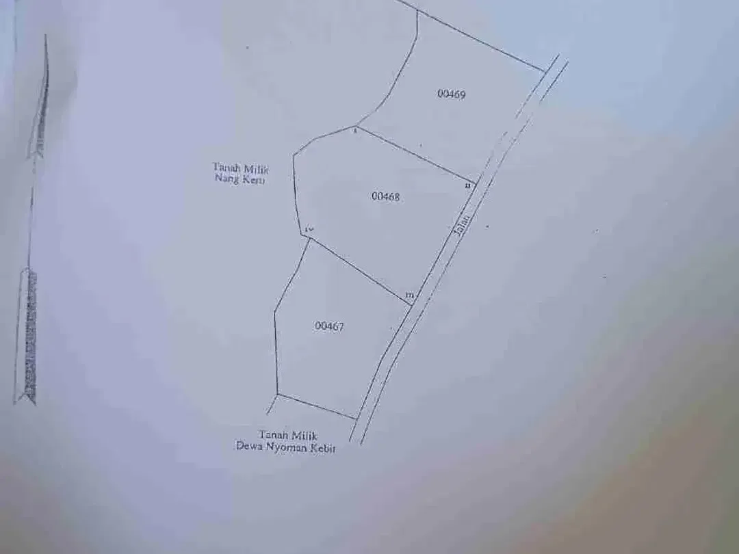 Dijual Tanah Kebun - Image 8 of 10