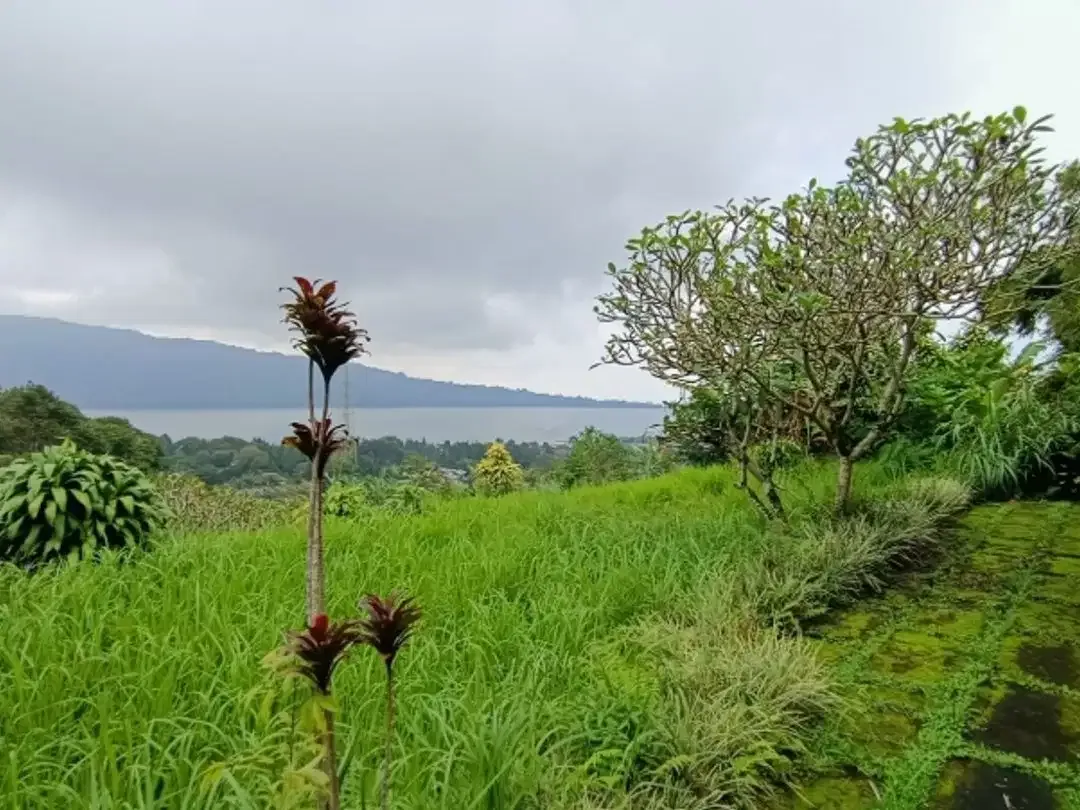 Tanah View Danau di Candikuning Bedugul - Image 3 of 10