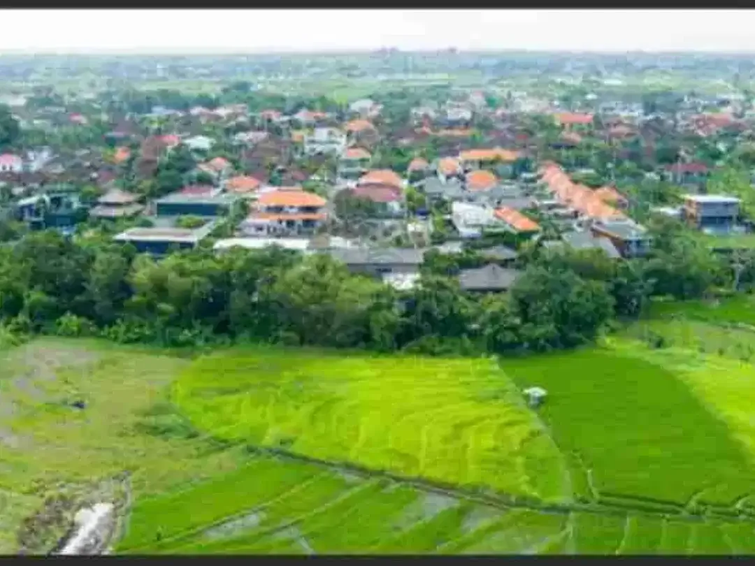 Kavling Premium Pererenan Canggu 600m², Akses Dekat Pantai - Image 8 of 10