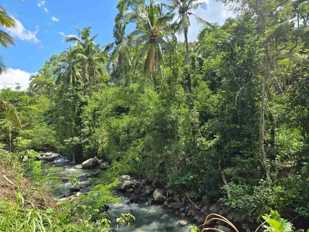 dijual tanah kecil los sungai air jernih bebatuan di penebel tabanan bali - Image 4 of 10