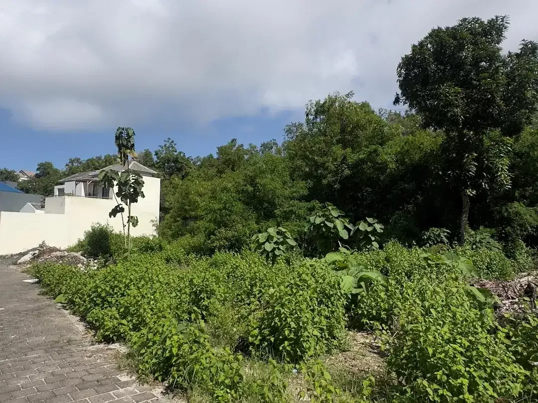 Dijual Tanah Premium 100m2 lokasi untuk villa di ungasan - Image 3 of 6