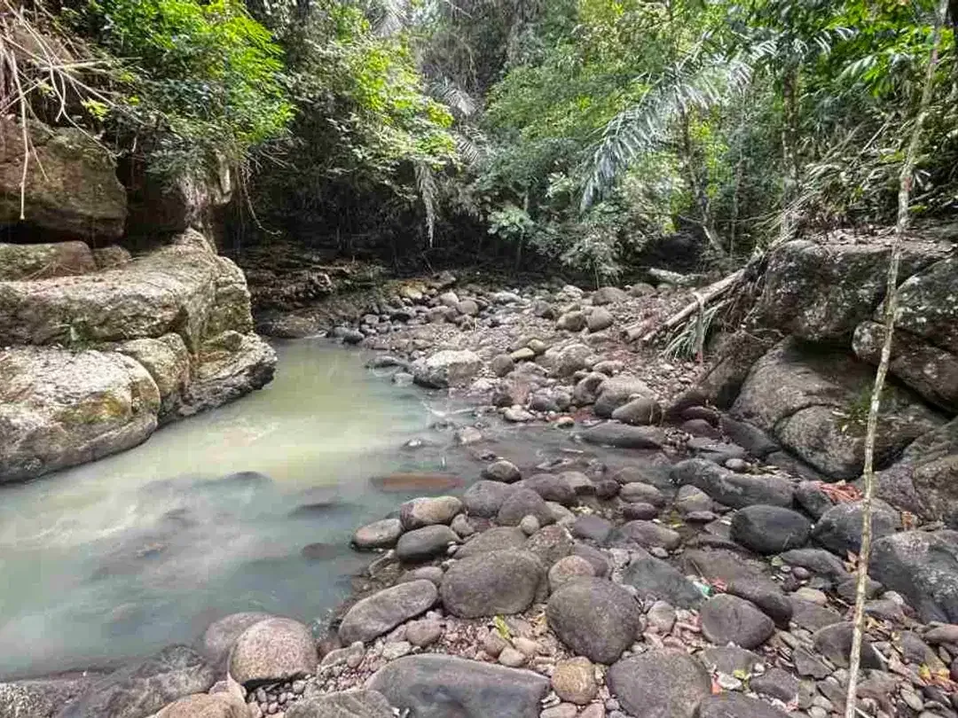 jual tanah kebun view sungai eksotik dan view junggle yang asri di tabanan bali. - Image 1 of 10