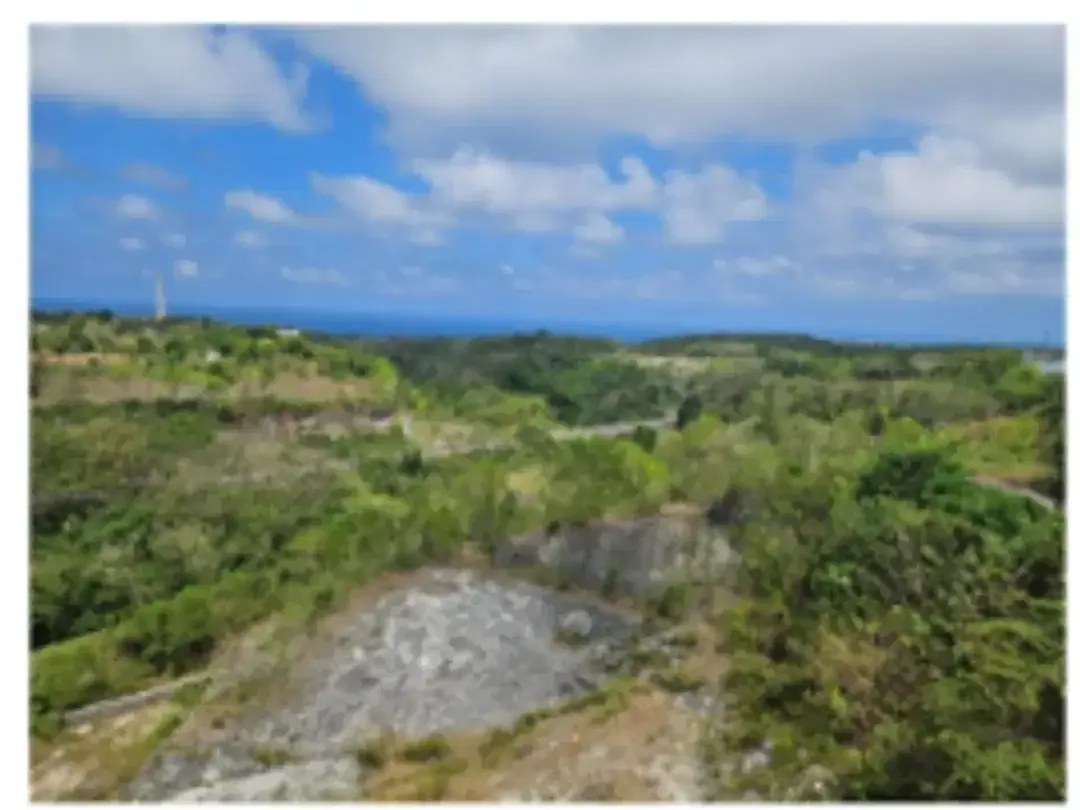 DIJUAL TANAH KOMERSIAL DAERAH CLIF BADUNG BALI - Image 3 of 5
