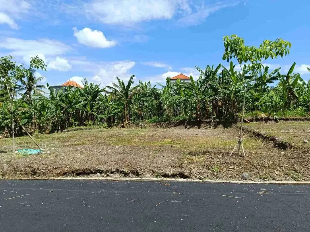 Jual Tanah 2 Are Dharma Giri Kota Gianyar Dekat Puspem Gianyar - Image 3 of 6