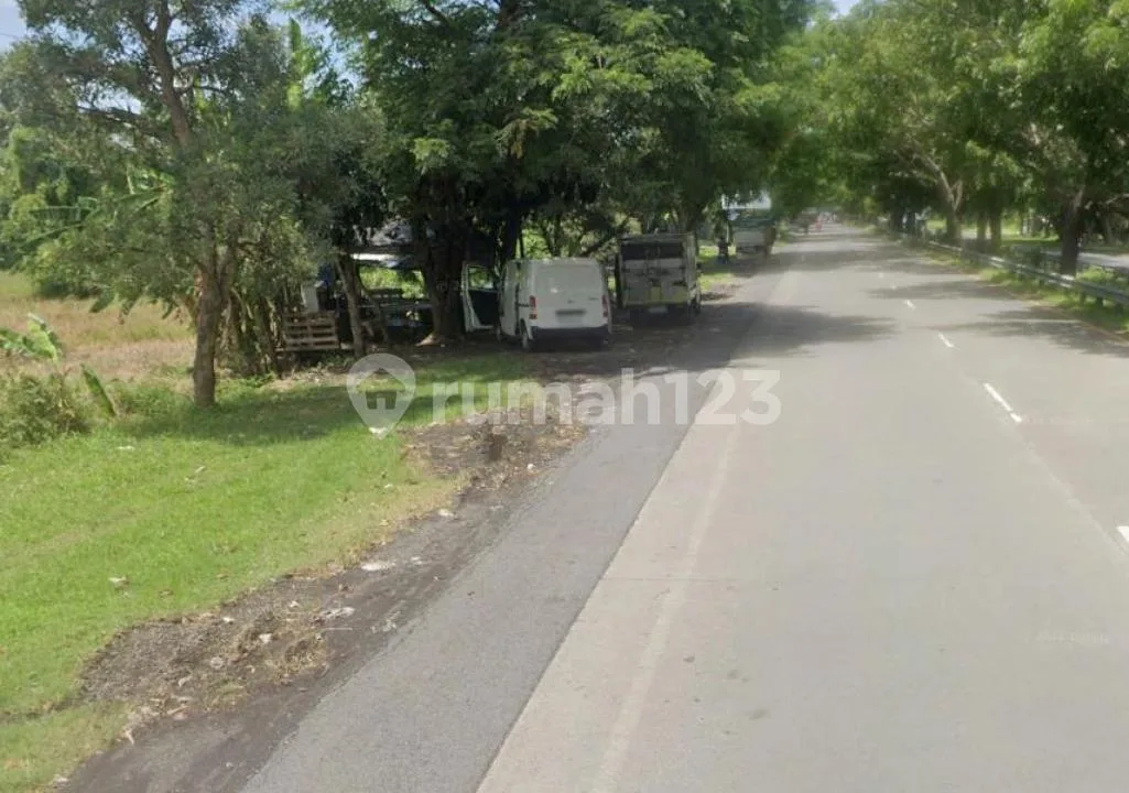 Dijual Tanah Luas 22,7 Are Pinggir Bypass Mantra Daerah Siut, Lebih Gianyar Bali, Zone Merah Cocok untuk Gudang dan Bisnis Lainnya - Image 3 of 4