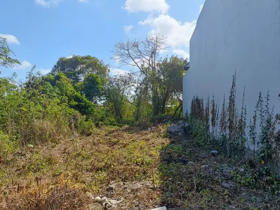 Tanah Eksklusif di Pulasari, Taman Mumbul Dekat Plagoo Nusa Dua - Image 6 of 10