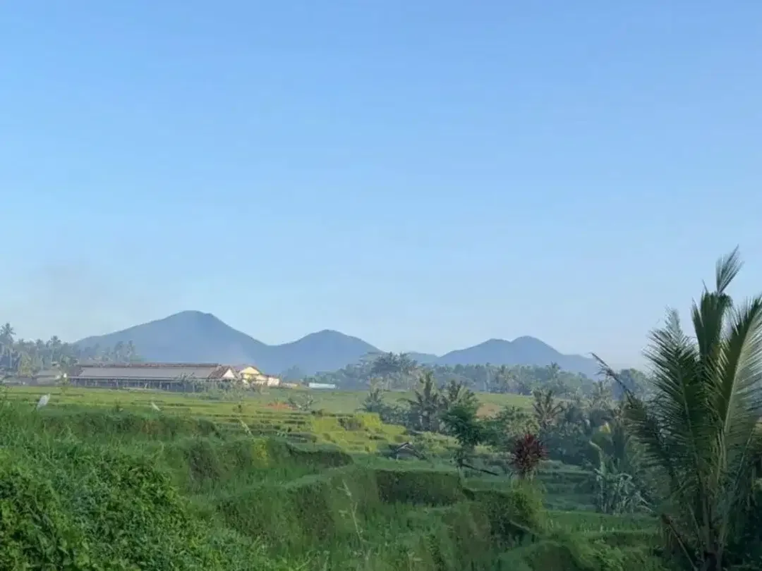 River Front Land For Sale Near Beji Waterfall - Image 6 of 10