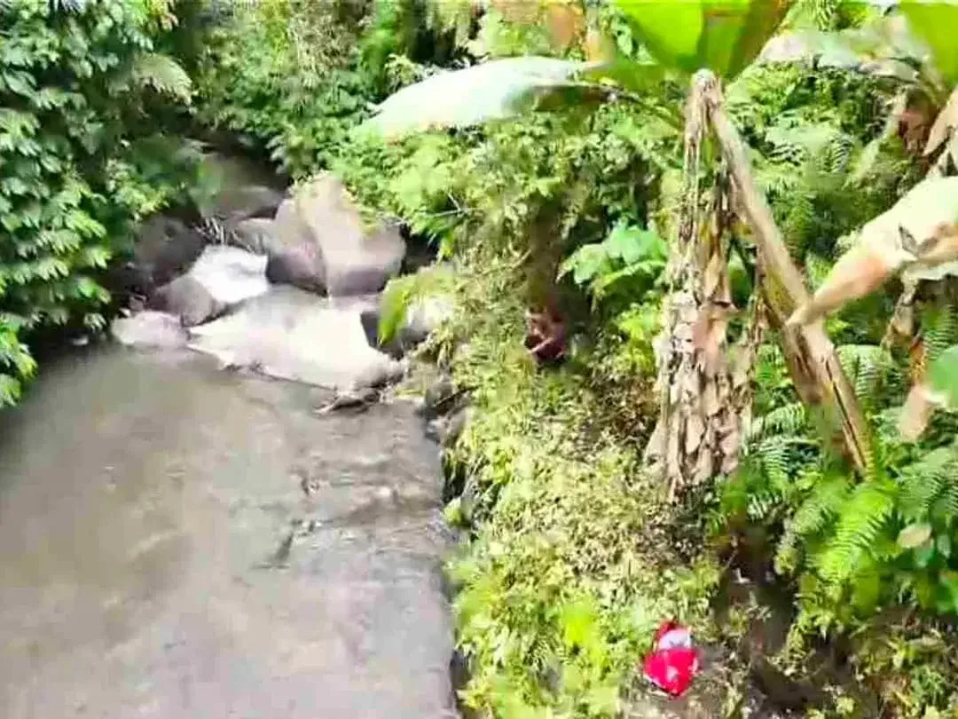 Tanah Riverside Buahan Ubud 500 mtr Hanging Garden hotel - Image 10 of 10