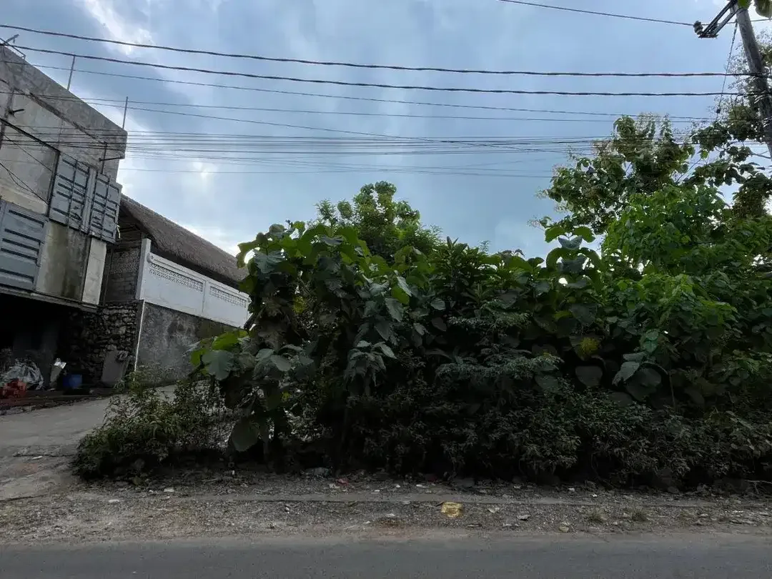 Lahan 28,5 Are Strategis Kawasan Pariwisata Dekat Pantai Bingin Pecatu Bali Cocok untuk Villa dan Investasi - Image 9 of 10