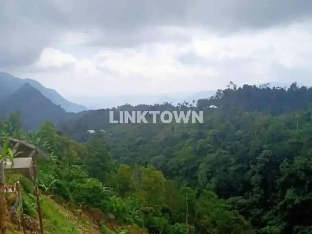 Dijual tanah 6,5ha (651,20 are) di kawasan wisata TURYAPADA TOWER dekat Bedugul Bali - Image 5 of 10