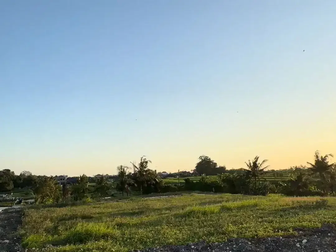 10 Menitan Canggu Tanah Dijual View Sawah, Sunset, Sunrice, Mountain - Image 6 of 10