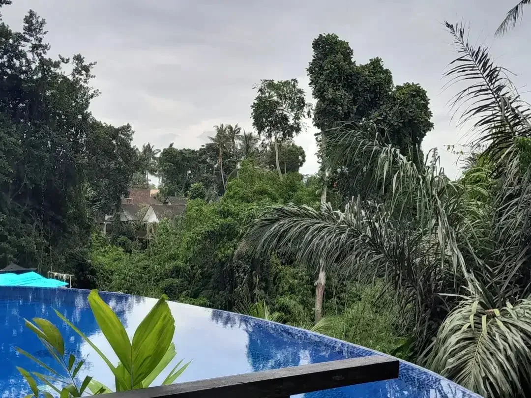 13 Bedroom Hotel for sale in Ubud, Bali - Image 2 of 10