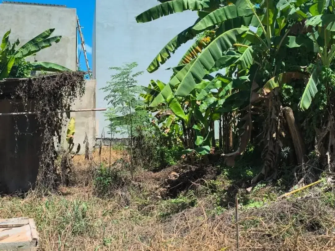Dijual cepat tanah Datar siap bangun lokasi di perumahan purisambada, Canggu - Image 2 of 6