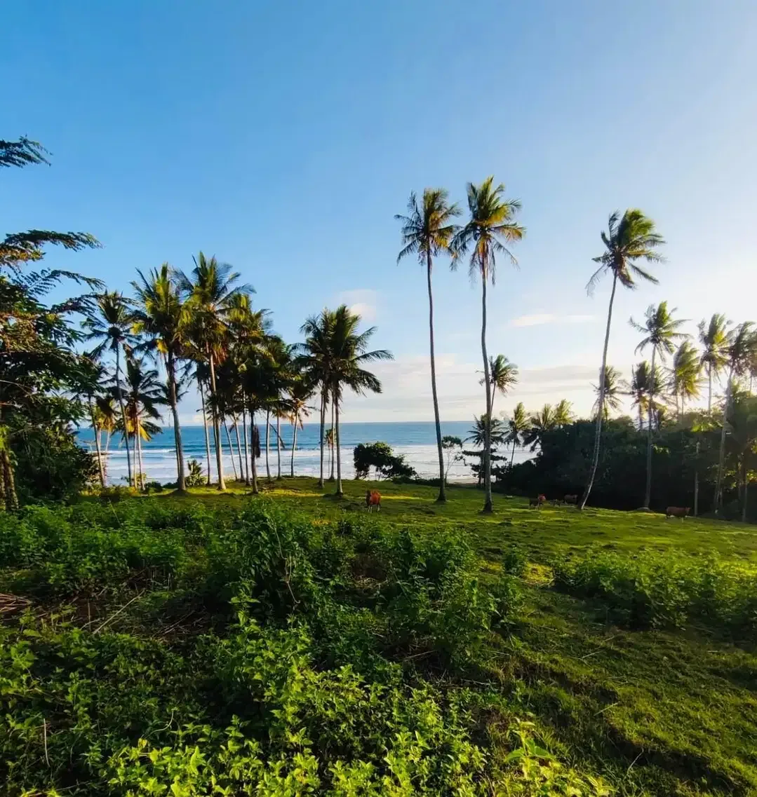 Tanah beach front pantai bonian tabanan bali - Image 1 of 10