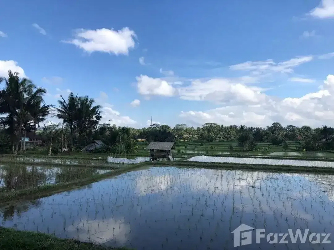 Land for sale in Ubud, Bali - Image 5 of 5